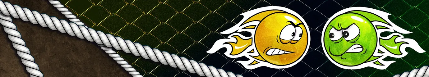 Beynəlxalq MMA liqası